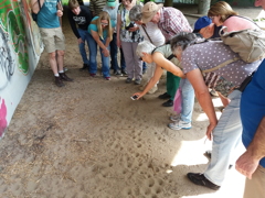 Teilnehmern bewundern Fangtrichter des Ameisenloewen